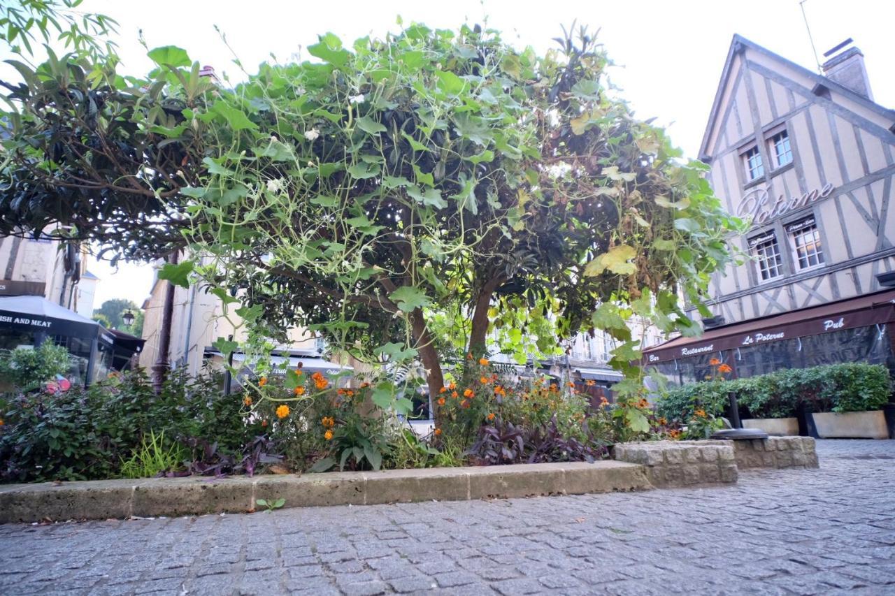le Perroquet Fringant Lägenhet Caen Exteriör bild